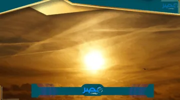 «رقم قياسي جديد» 5040 شحنة غذائية مصرية تُصدّر خلال أسبوع وسط دعم كبير